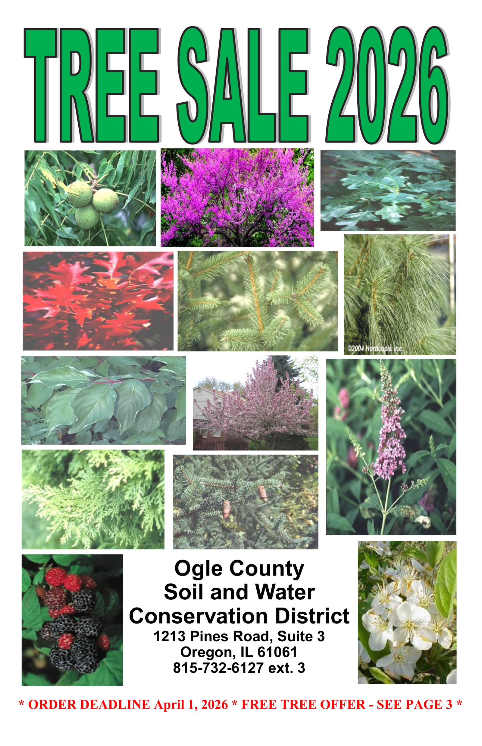 Swcd Tree Sale Tree Sale🌳 | Ogle County SWCD